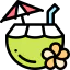 Coconut water іконка 64x64