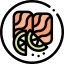 Salmon icon 64x64
