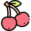 Cherry icon 64x64