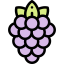 Berries icon 64x64