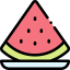 Watermelon icon 64x64