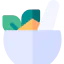 Ayurvedic icône 64x64