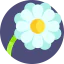 Flower 图标 64x64