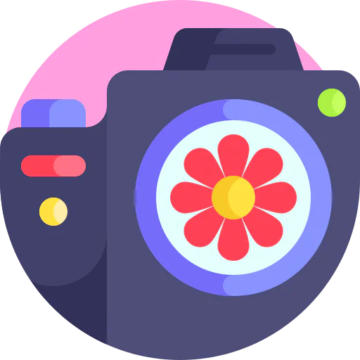 Camera icon