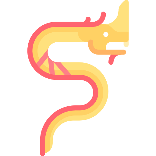 Dragon icon