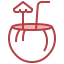 Coconut water icon 64x64