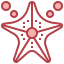Starfish 图标 64x64