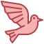 Pigeon icon 64x64