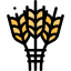 Barley icône 64x64