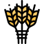Barley 图标 64x64