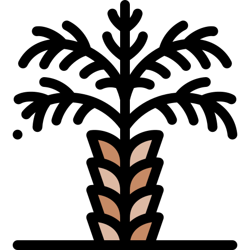 Palm tree 图标