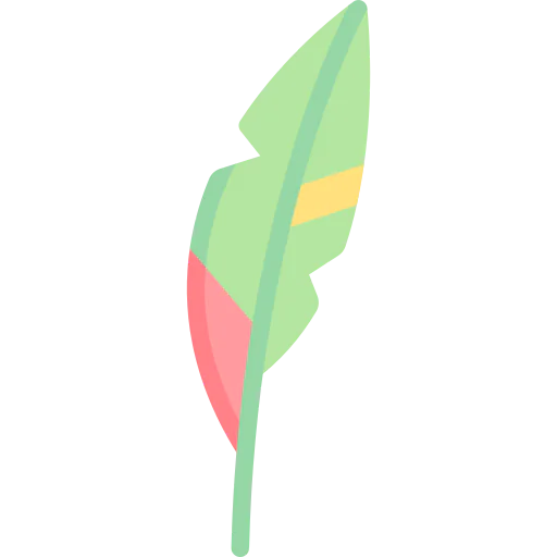 Feather icon