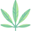 Cannabis icône 64x64