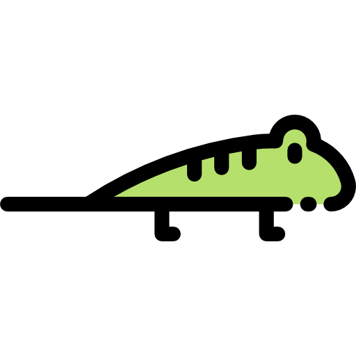 Lizard icon