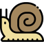 Snail icône 64x64