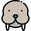 Walrus icon 64x64