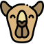 Camel icon 64x64