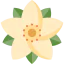 Poinsettia 상 64x64