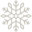 Snowflake icône 64x64