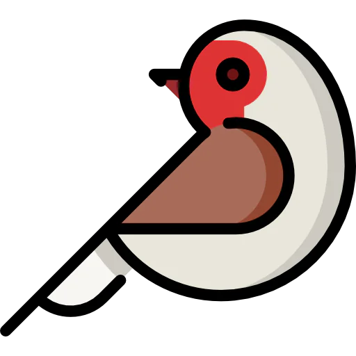 Robin icon