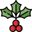 Mistletoe icône 64x64