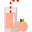 Peach juice 图标 64x64