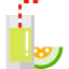 Melon juice 图标 64x64