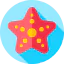 Starfish Symbol 64x64