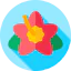 Hibiscus icon 64x64