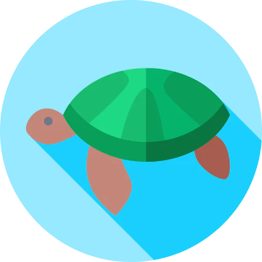 Turtle icon