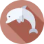 Dolphin アイコン 64x64