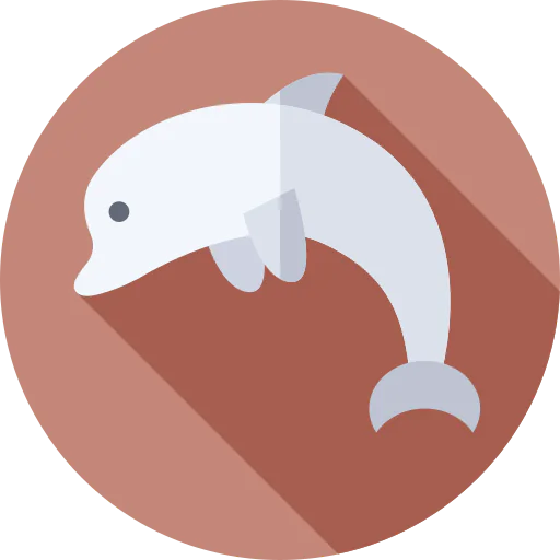 Dolphin Ikona