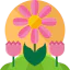 Spring іконка 64x64