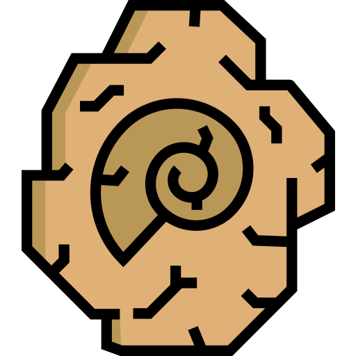 Fossil icon