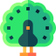 Peacock 图标 64x64