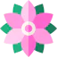 Flower icon 64x64