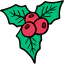 Mistletoe 图标 64x64