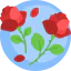 Розы иконка 64x64
