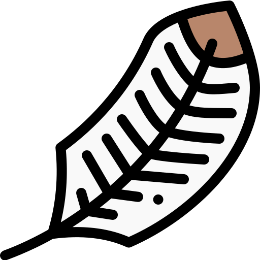 Feather icon