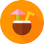 Coconut drink icon 64x64