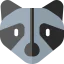 Raccoon icon 64x64