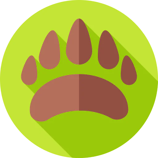 Bear icon