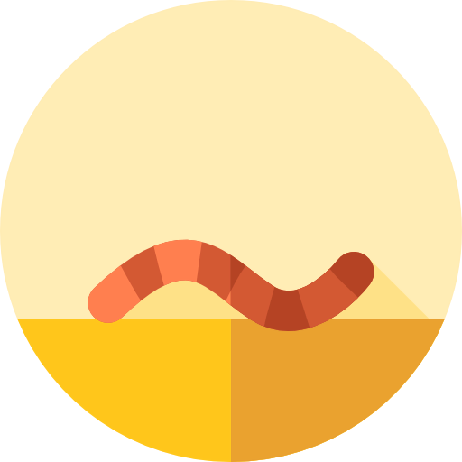 Worm icon