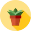 Aloe icône 64x64