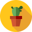 Cactus アイコン 64x64