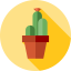 Cactus ícone 64x64