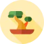 Bonsai icon 64x64