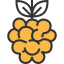 Raspberry icône 64x64