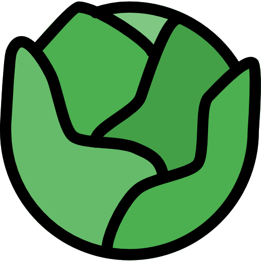 Cabbage icon
