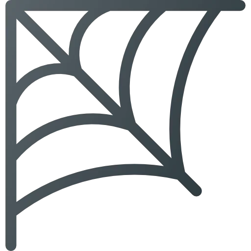 Cobweb icon